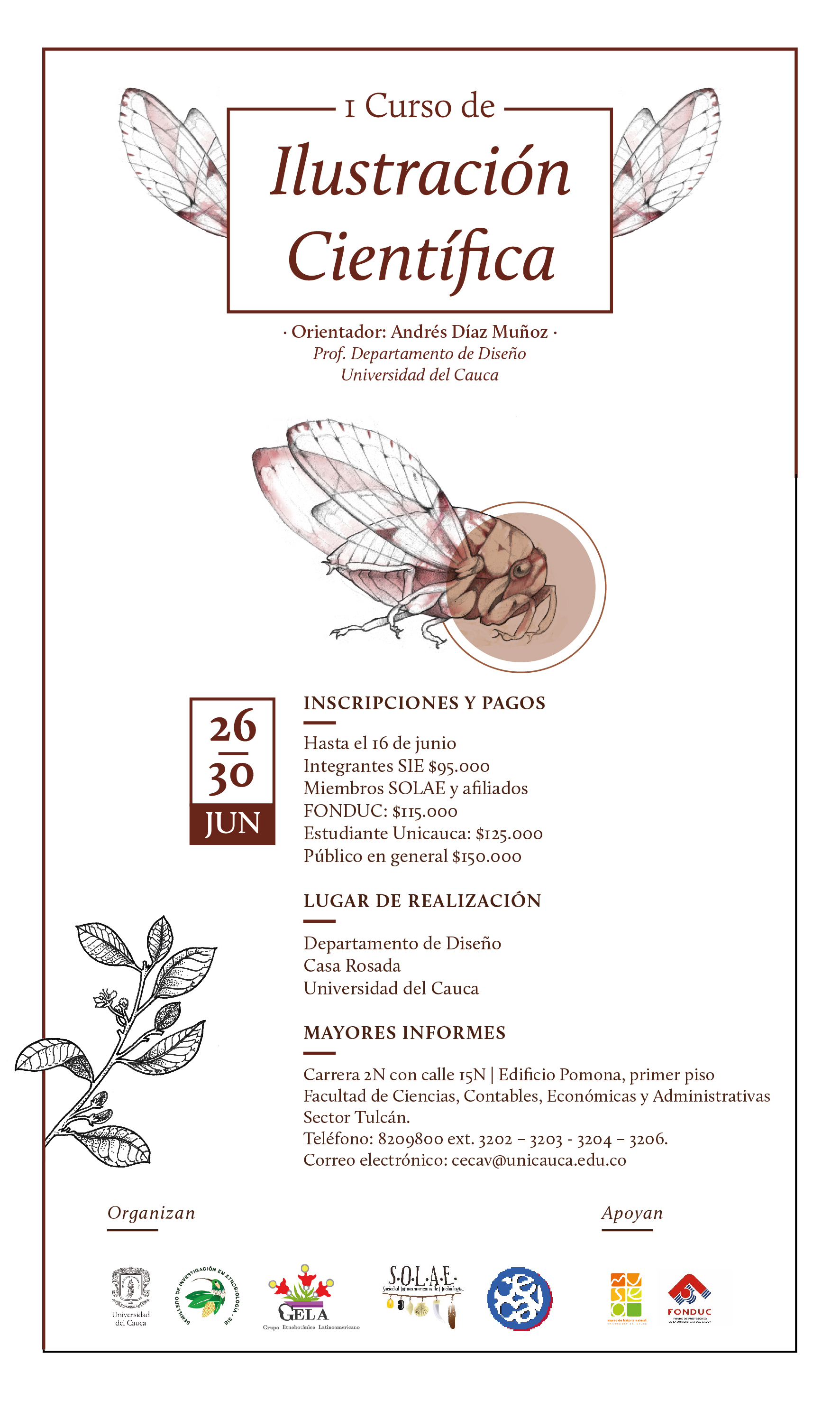 I curso de Ilustración científica